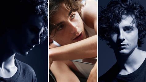 timothee chalamet chanel commercial|chanel bleu for men commercial.